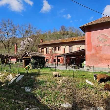 Agriturismo La.Ti.Mi.Da. Кассине Экстерьер фото