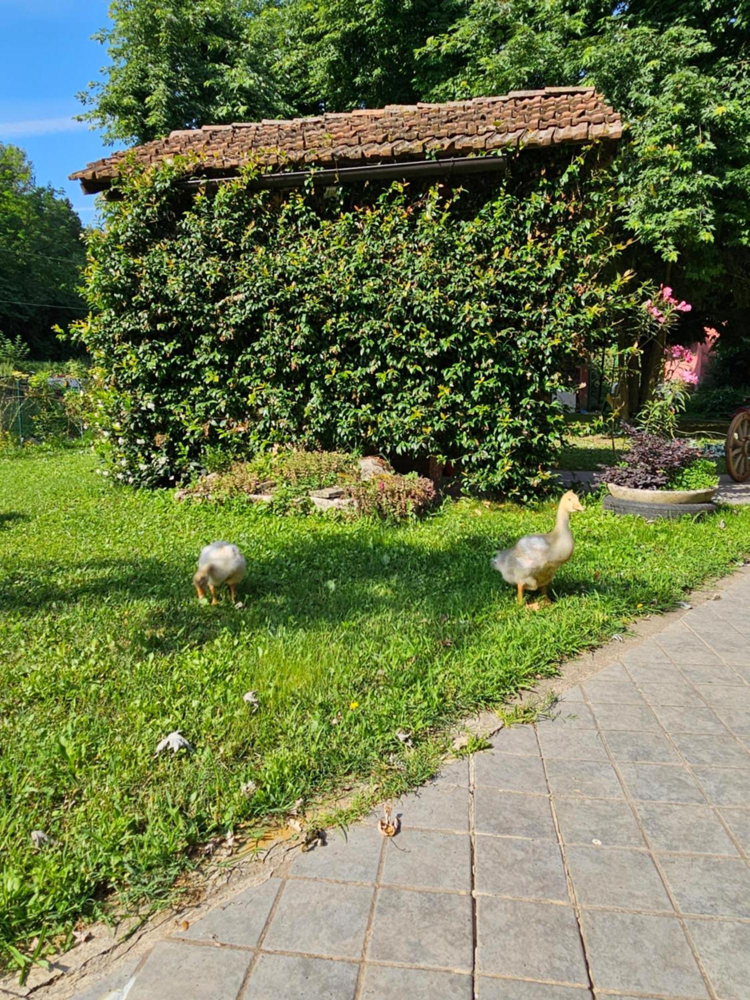 Agriturismo La.Ti.Mi.Da. Кассине Экстерьер фото
