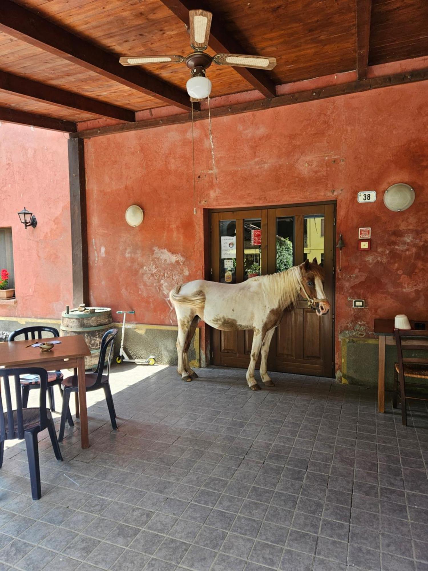 Agriturismo La.Ti.Mi.Da. Кассине Экстерьер фото