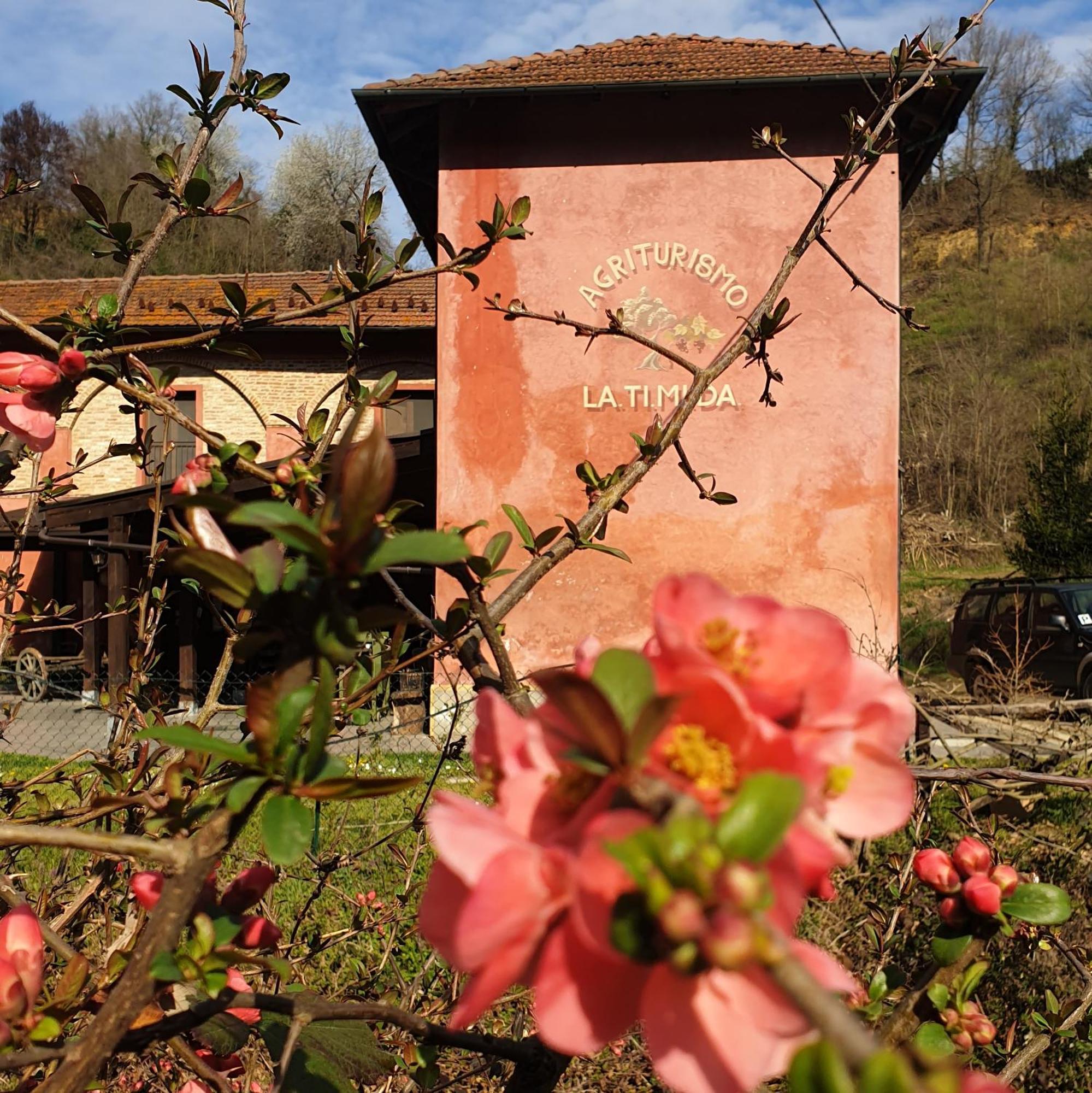Agriturismo La.Ti.Mi.Da. Кассине Экстерьер фото